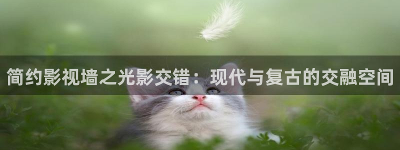 yy4480私人理论
