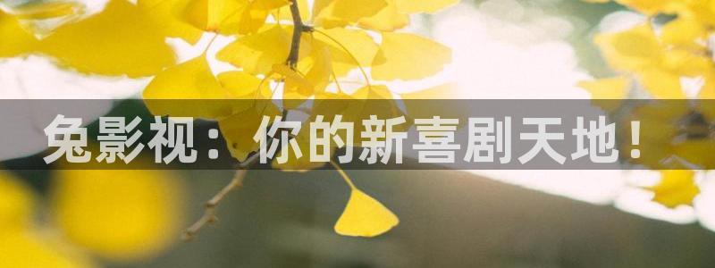 yy4480新视觉影视