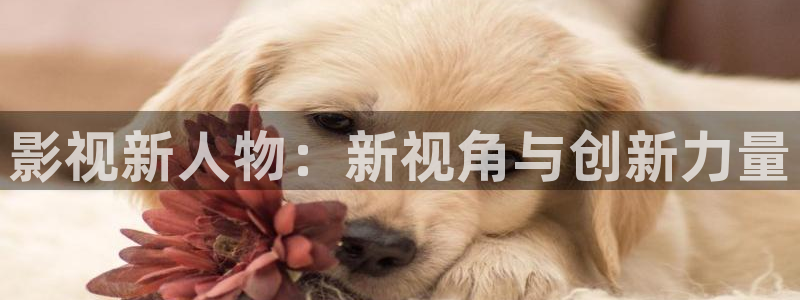 yyy4480青苹果影院