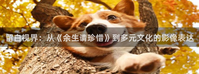 yy4480青苹果新视觉影院