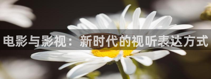 yy4480伦理伦理片