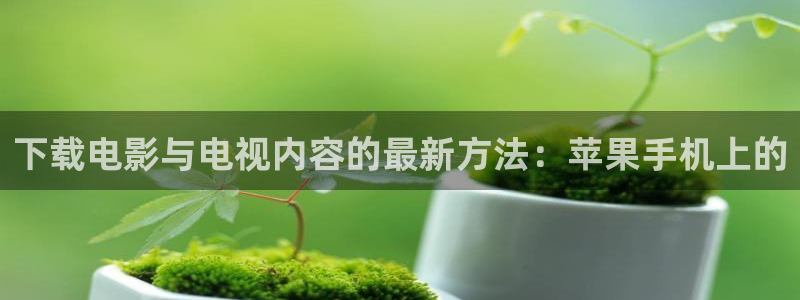yy4480伦理伦理片